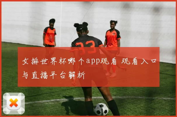 女排世界杯哪个app观看 观看入口与直播平台解析