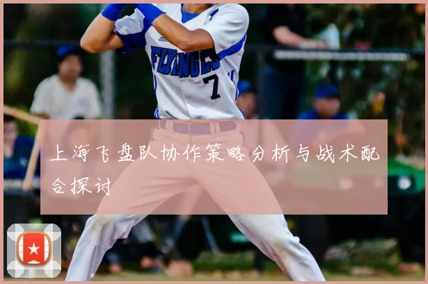 上海飞盘队协作策略分析与战术配合探讨