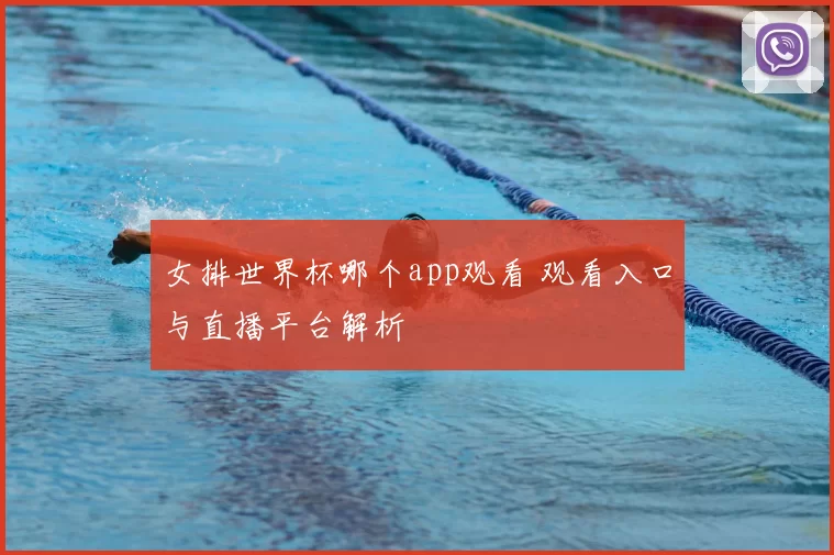 女排世界杯哪个app观看 观看入口与直播平台解析
