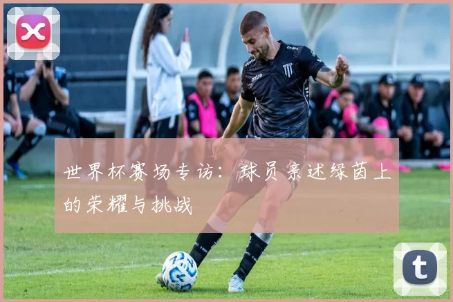 世界杯赛场专访：球员亲述绿茵上的荣耀与挑战