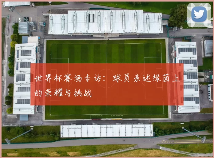 世界杯赛场专访：球员亲述绿茵上的荣耀与挑战