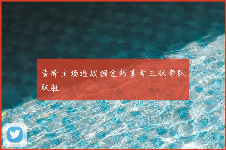 黄蜂主场迎战掘金约基奇三双带队取胜