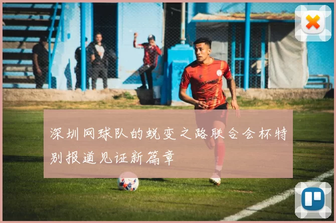 深圳网球队的蜕变之路联合会杯特别报道见证新篇章