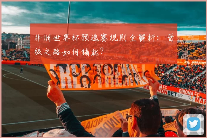 非洲世界杯预选赛规则全解析:晋级之路如何铺就?