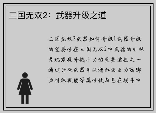 三国无双2:武器升级之道