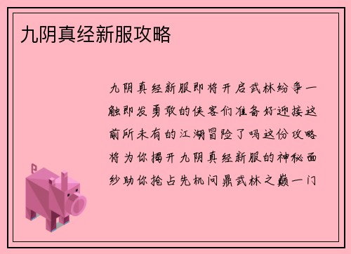 九阴真经新服攻略