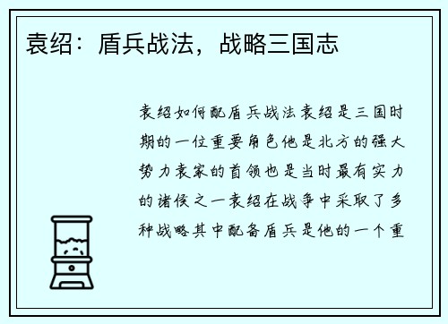 袁绍：盾兵战法，战略三国志